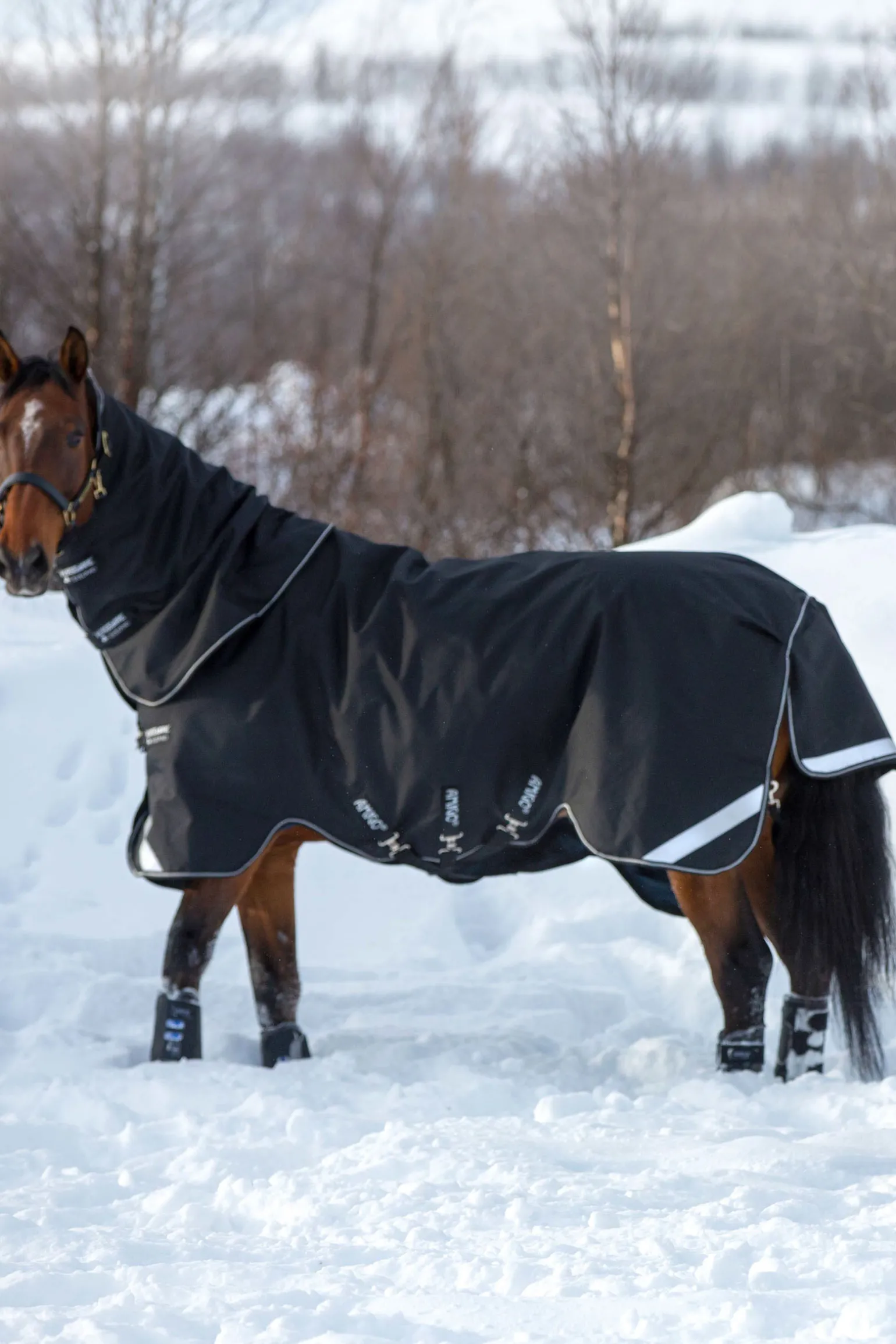 Horseware Amigo Super Bravo Plus, Ulkoloimi Irrotettavalla Kaulakappaleella, 250 G