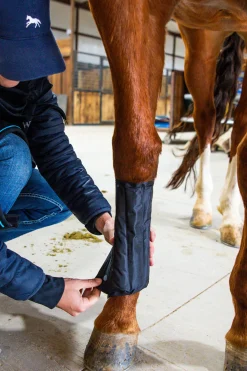 Horseware Ice-Vibe Kylmayssuojat
