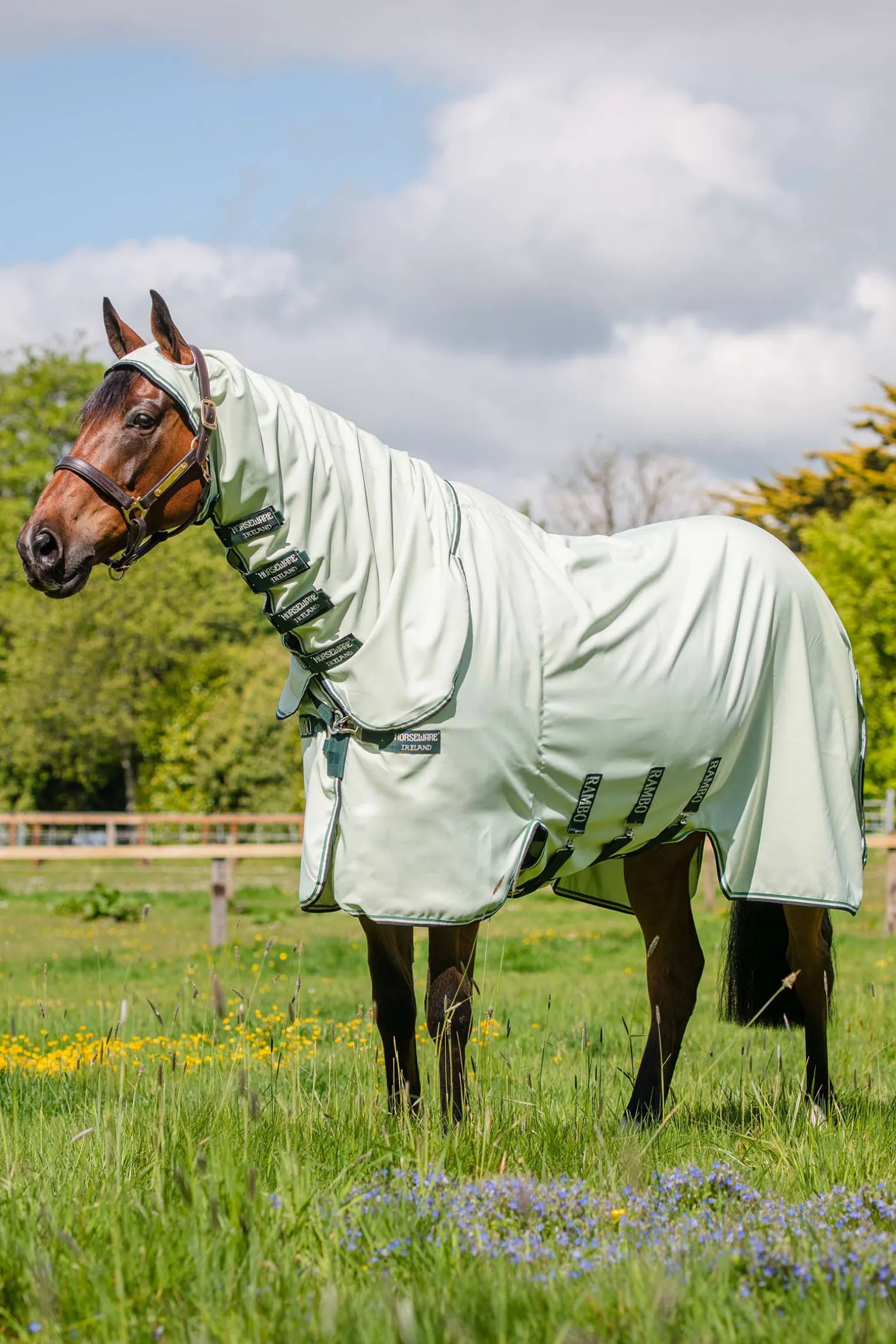Horseware Rambo Hoody Hyonteisloimi Kaulakappaleella