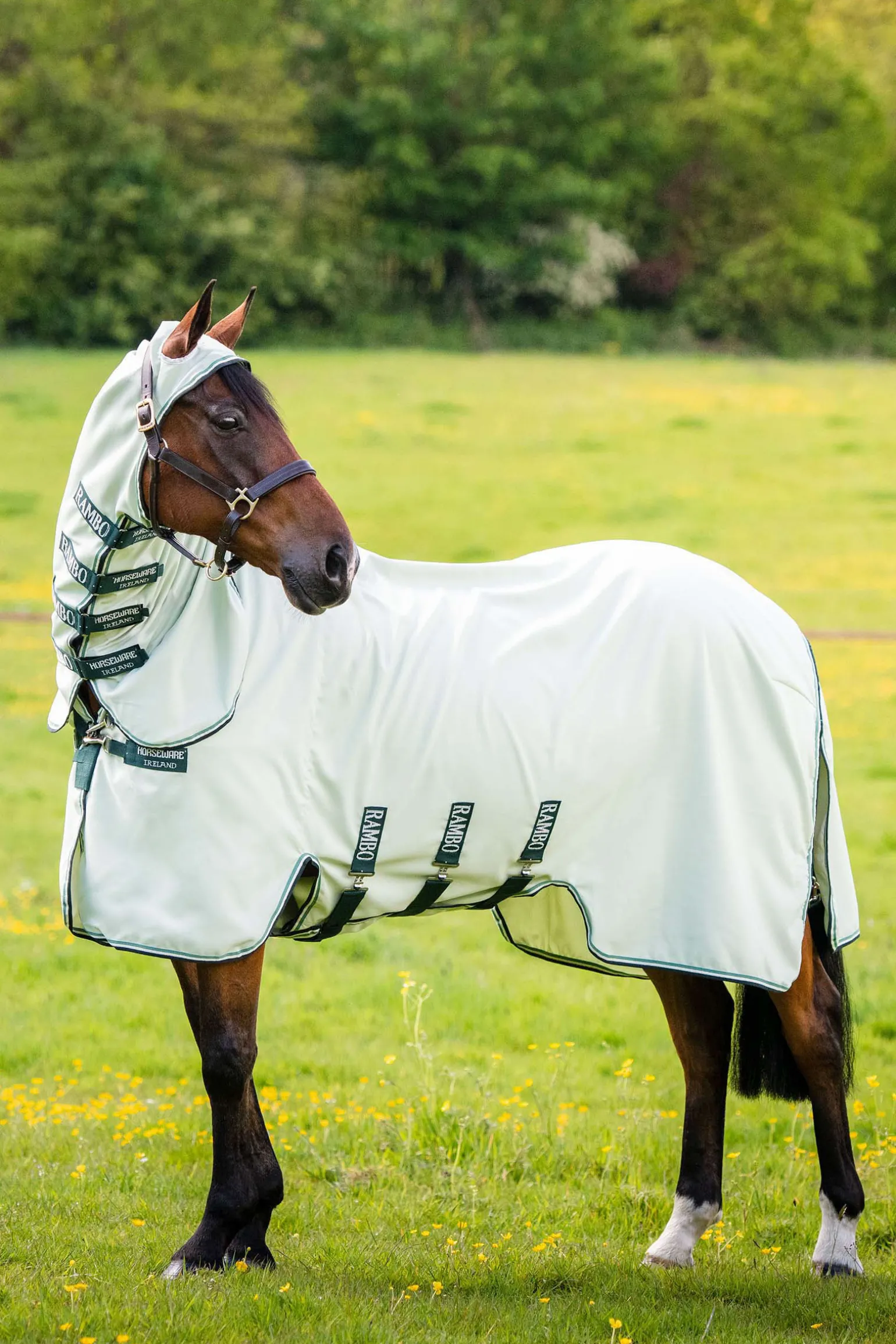 Horseware Rambo Hoody Hyonteisloimi Kaulakappaleella