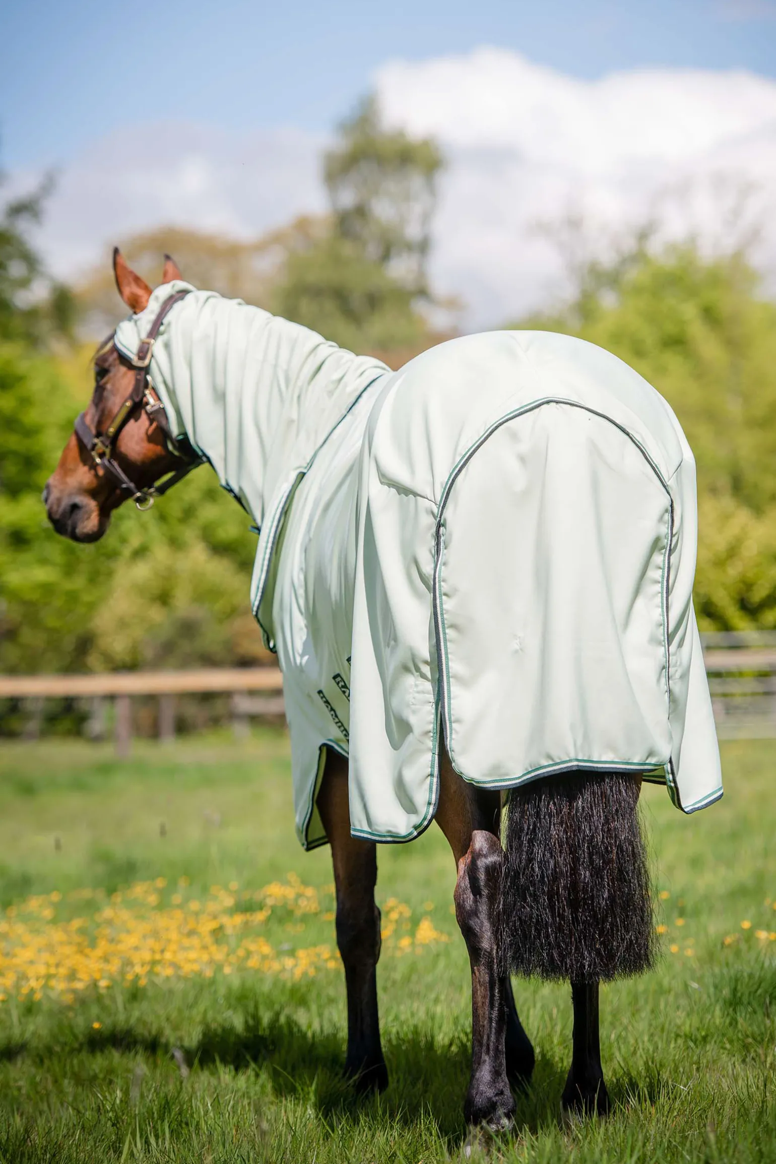 Horseware Rambo Hoody Hyonteisloimi Kaulakappaleella