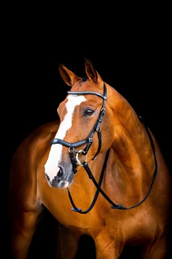 Horseware Rambo Micklem 2 Diamante Competition Suitset