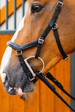 Horseware Rambo Micklem 2 Deluxe Competition Suitset