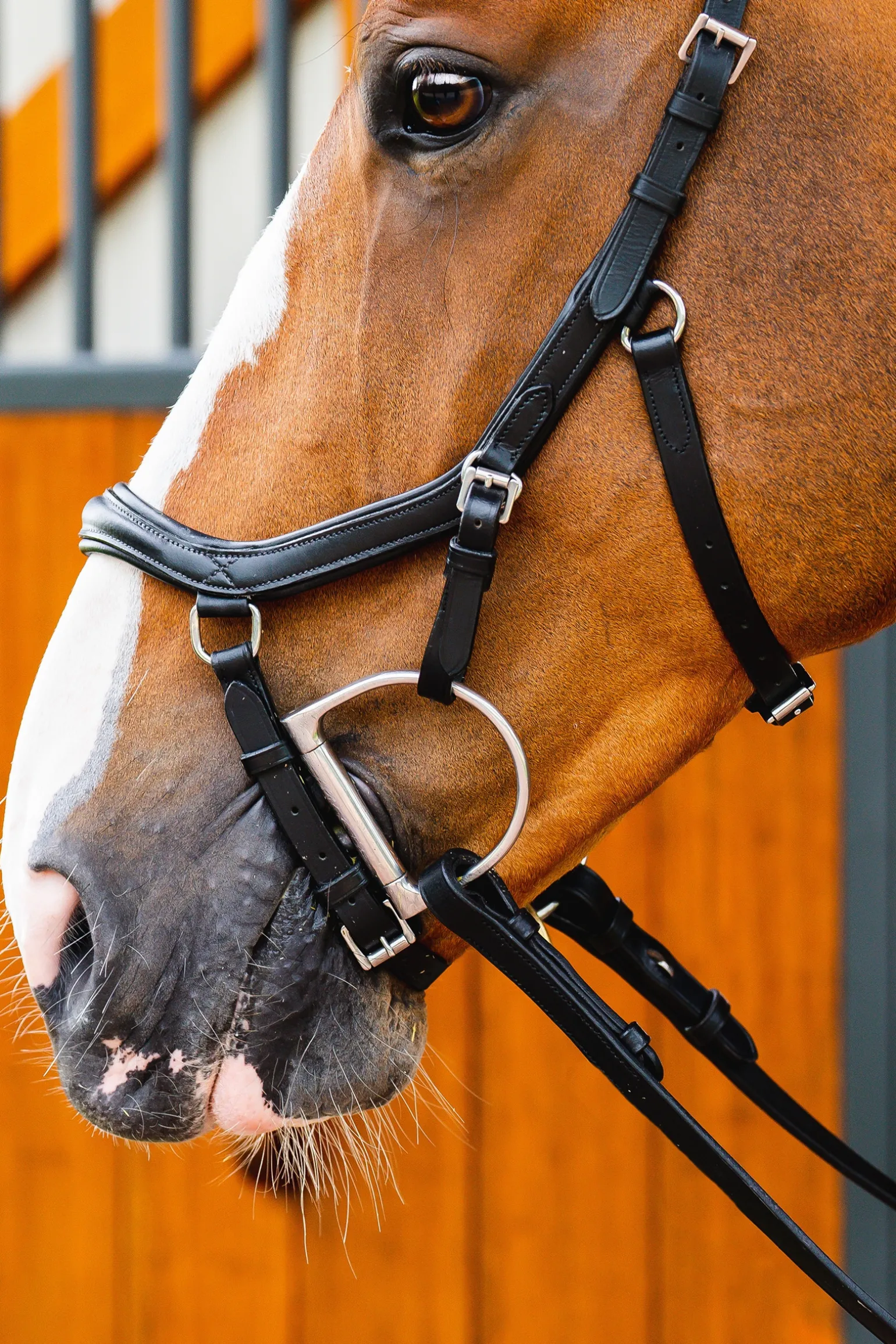 Horseware Rambo Micklem 2 Deluxe Competition Suitset