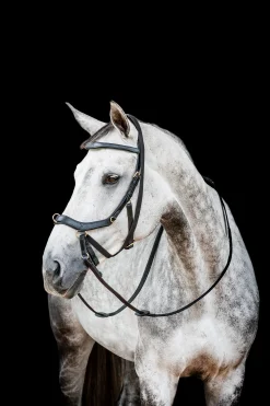 Horseware Rambo Micklem 2 Multi Suitset