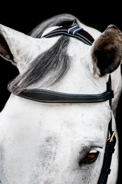 Horseware Rambo Micklem 2 Multi Suitset