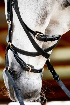 Horseware Rambo Micklem 2 Multi Suitset