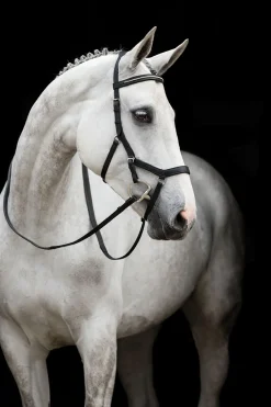 Horseware Rambo Micklem Diamante Kilpailusuitset