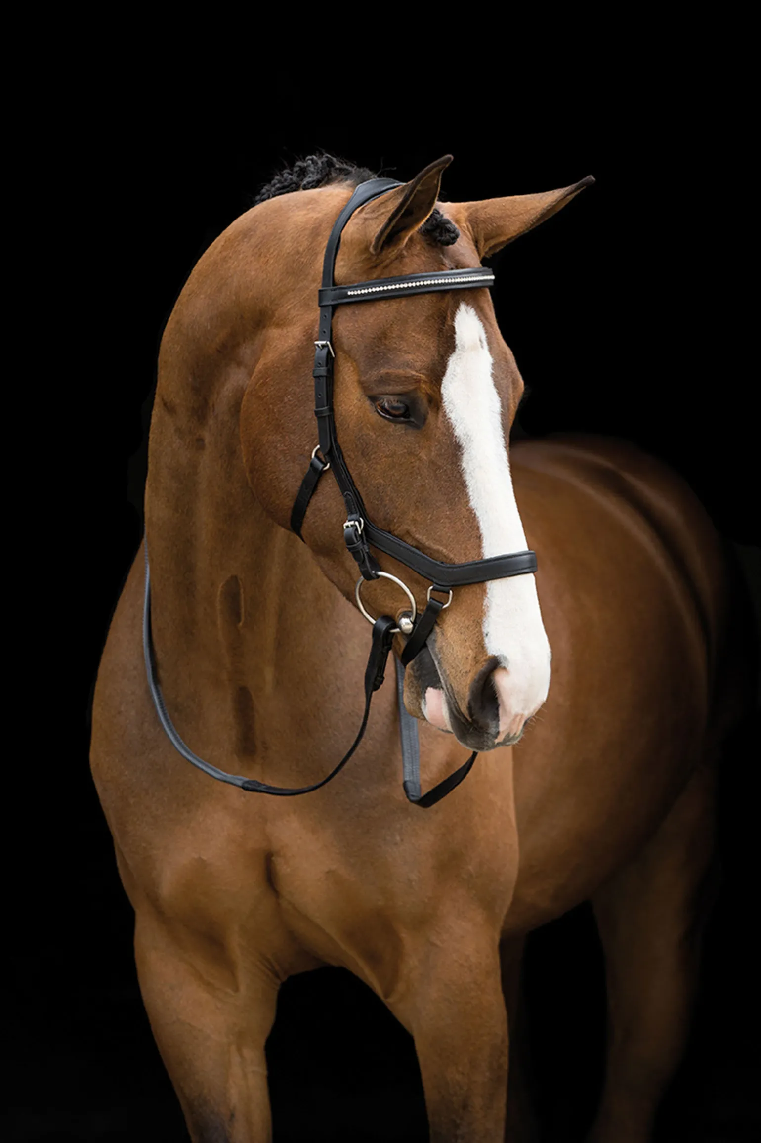Horseware Rambo Micklem Diamante Kilpailusuitset