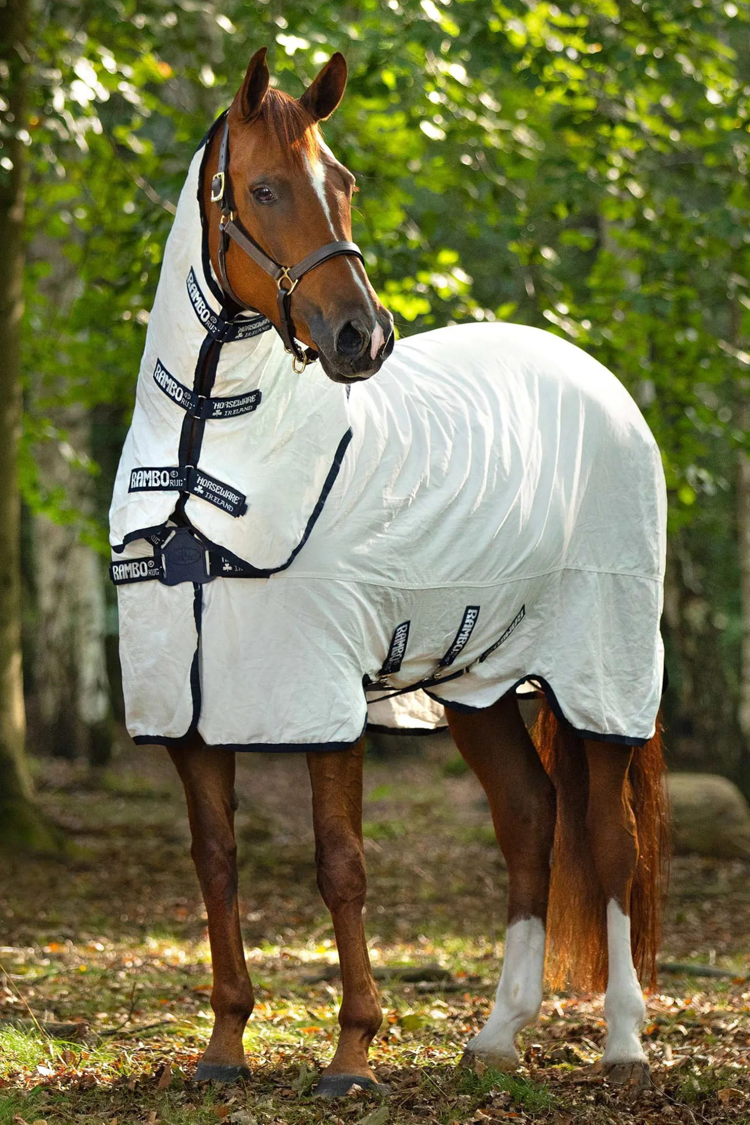 Horseware Rambo Natura Karpasloimi