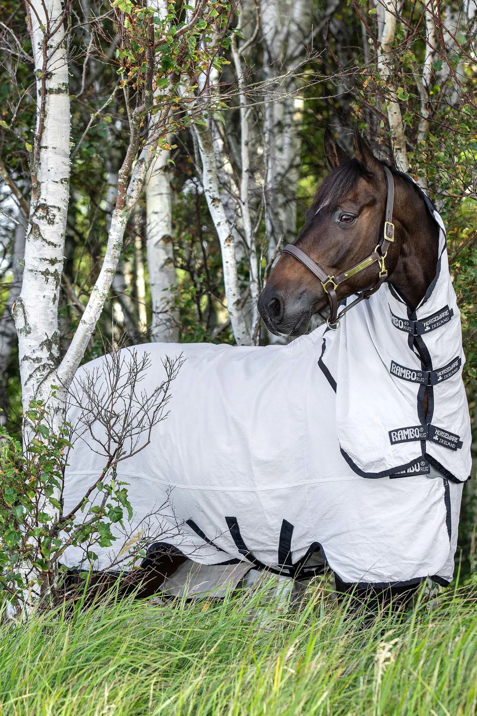 Horseware Rambo Natura Karpasloimi