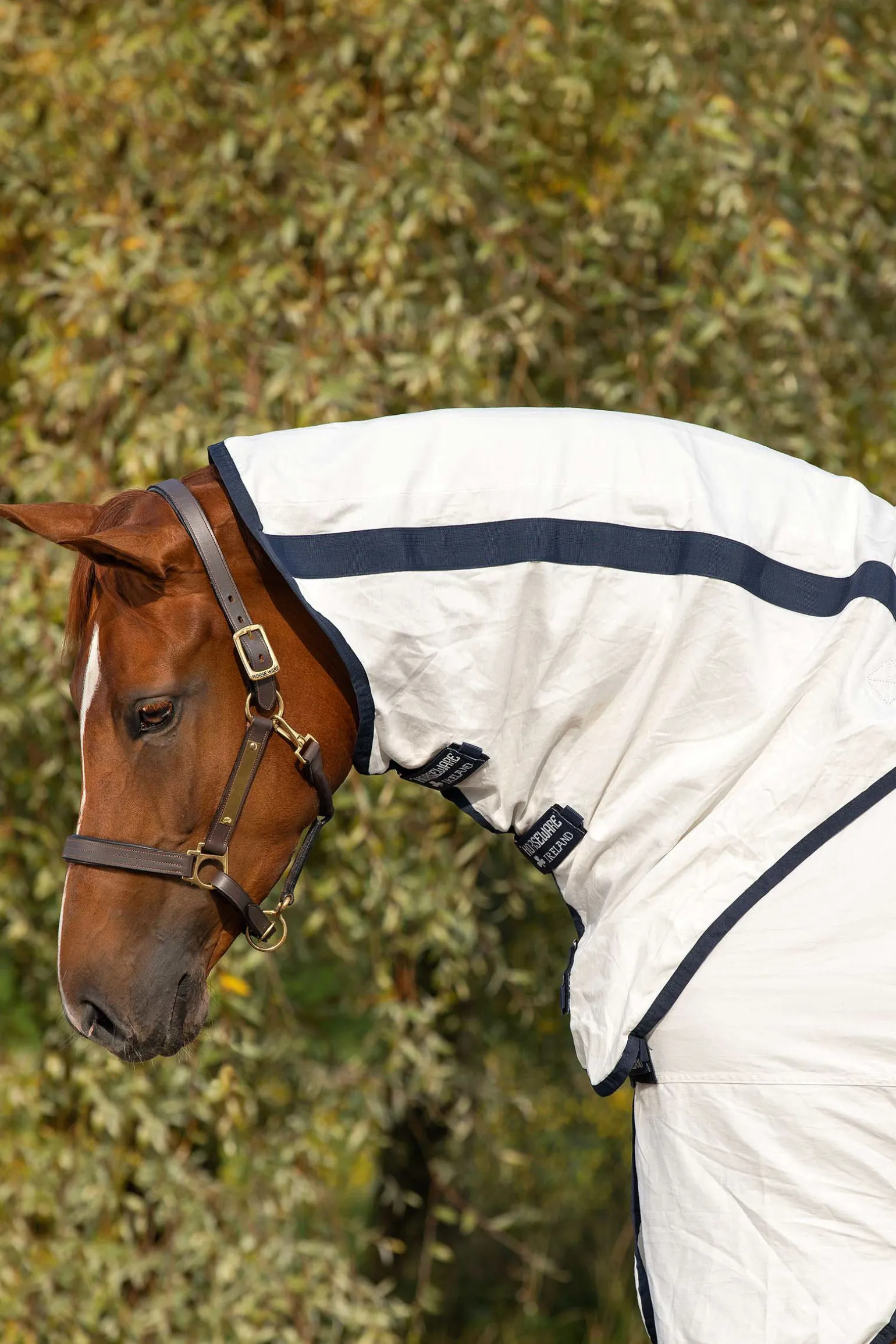 Horseware Rambo Natura Karpasloimi