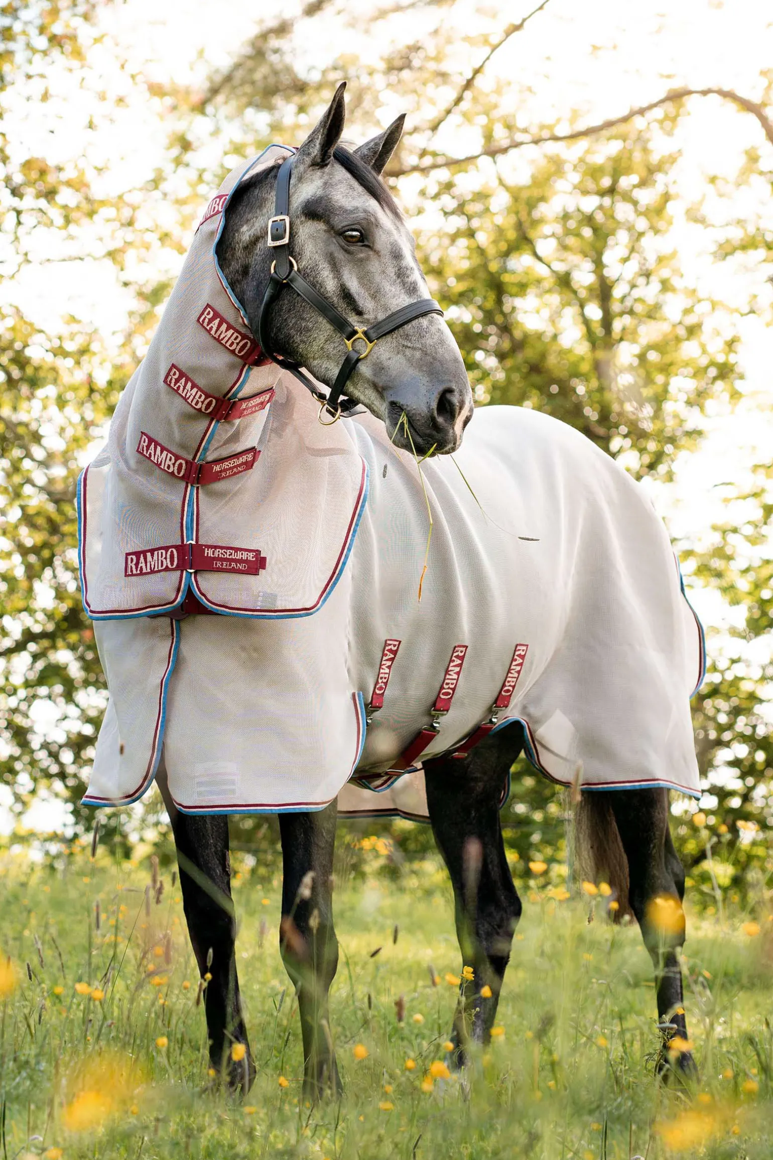 Horseware Rambo Protector Disc Front Hyonteisloimi