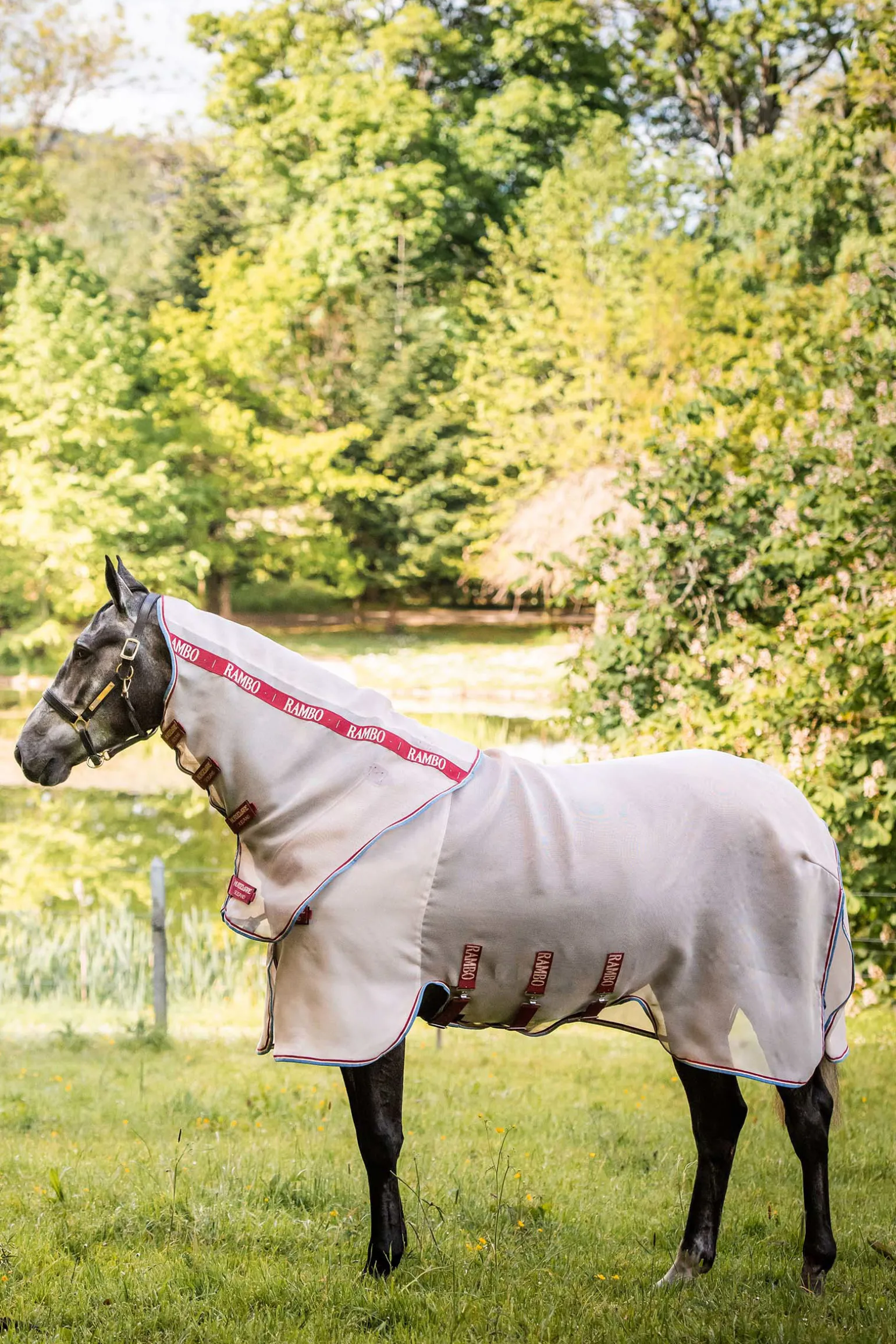Horseware Rambo Protector Disc Front Hyonteisloimi