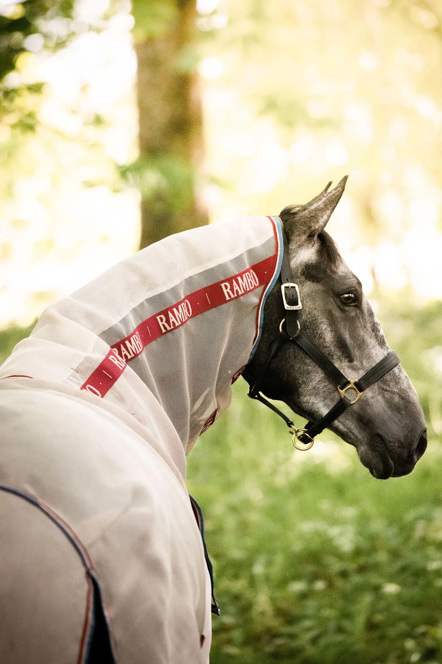 Horseware Rambo Protector Disc Front Hyonteisloimi