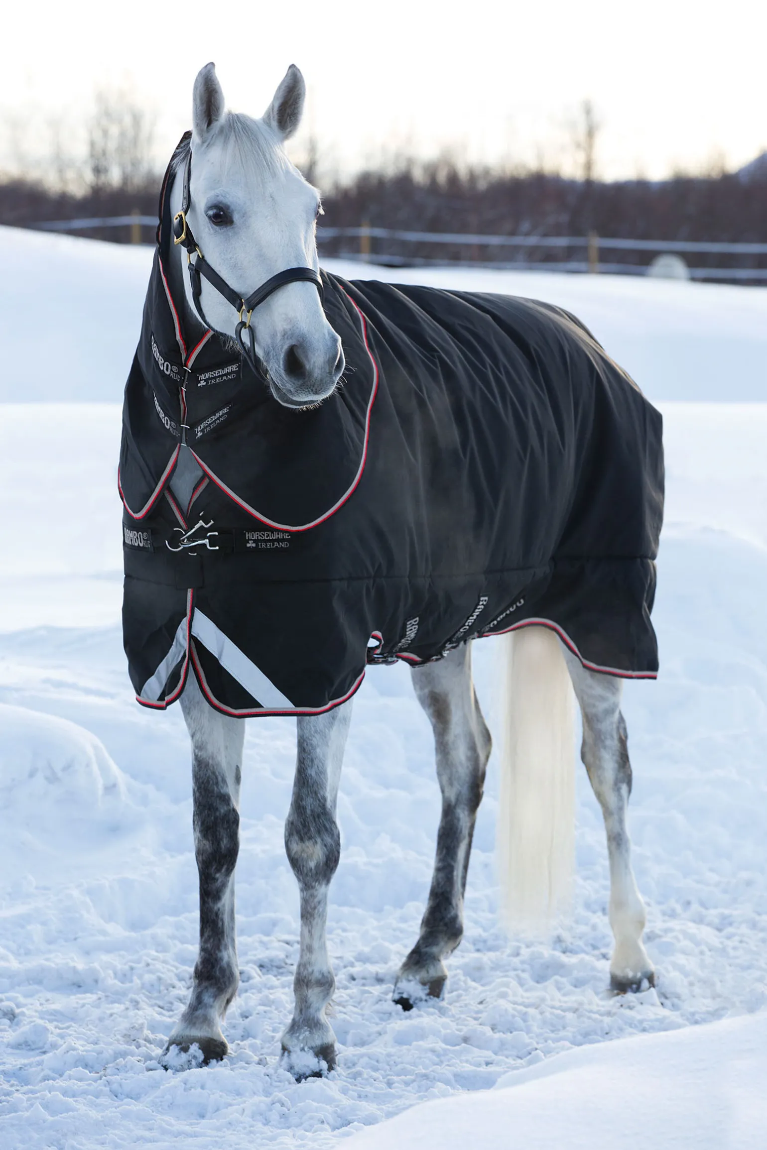 Horseware Rambo Supreme Ulkoloimi 420 G