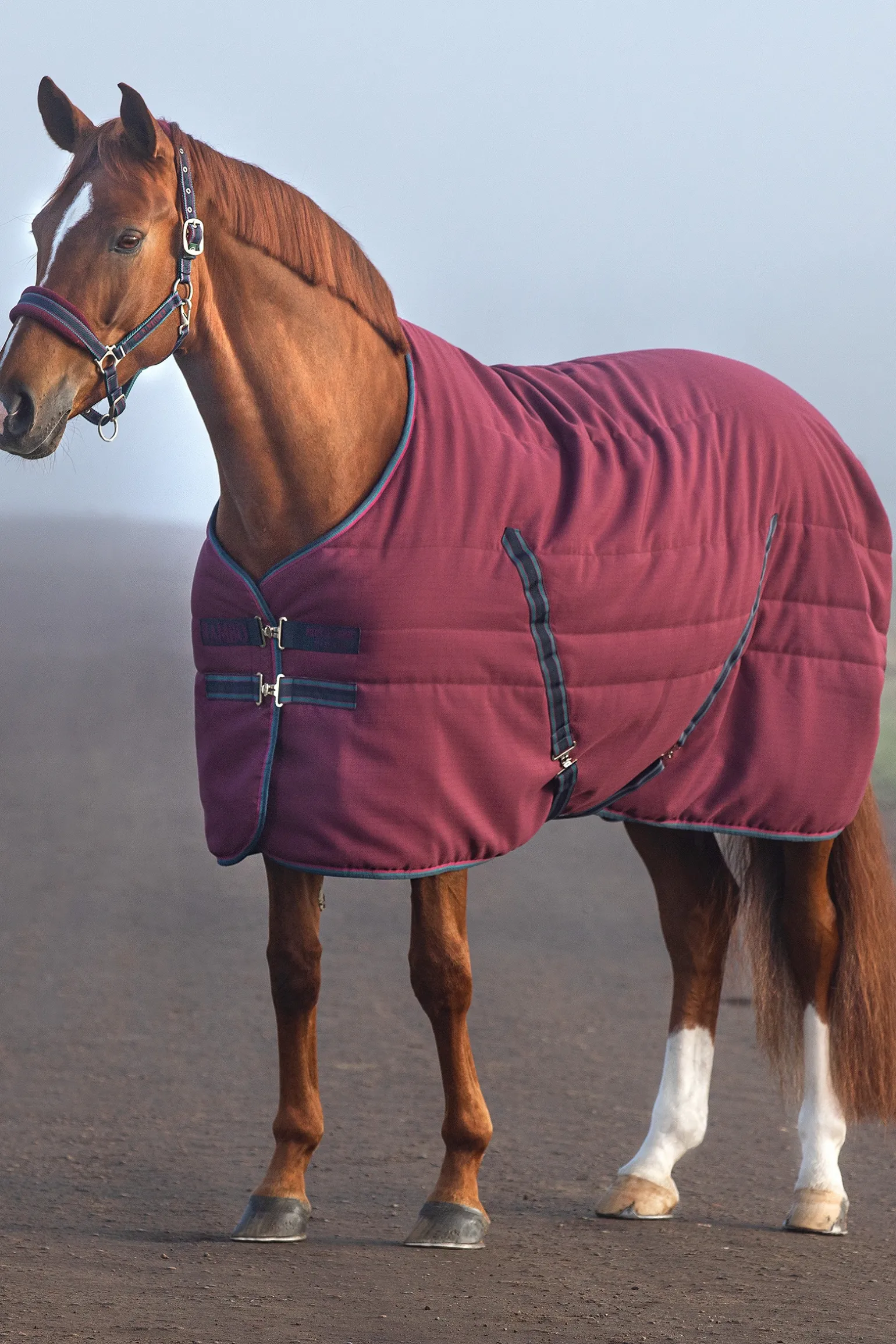 Horseware Rambo Talliloimi Kohokuvioidulla Vuorauksella, 100 G