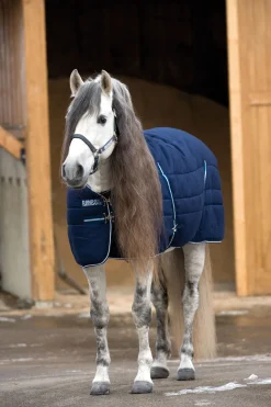 Horseware Talliloimi Kohokuvioidulla Vuorauksella, 200 G
