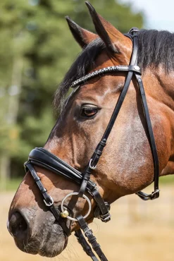 Kavalkade Ayana Kavalsh4 Bridle