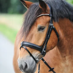Kavalkade Clinchesse Bridle