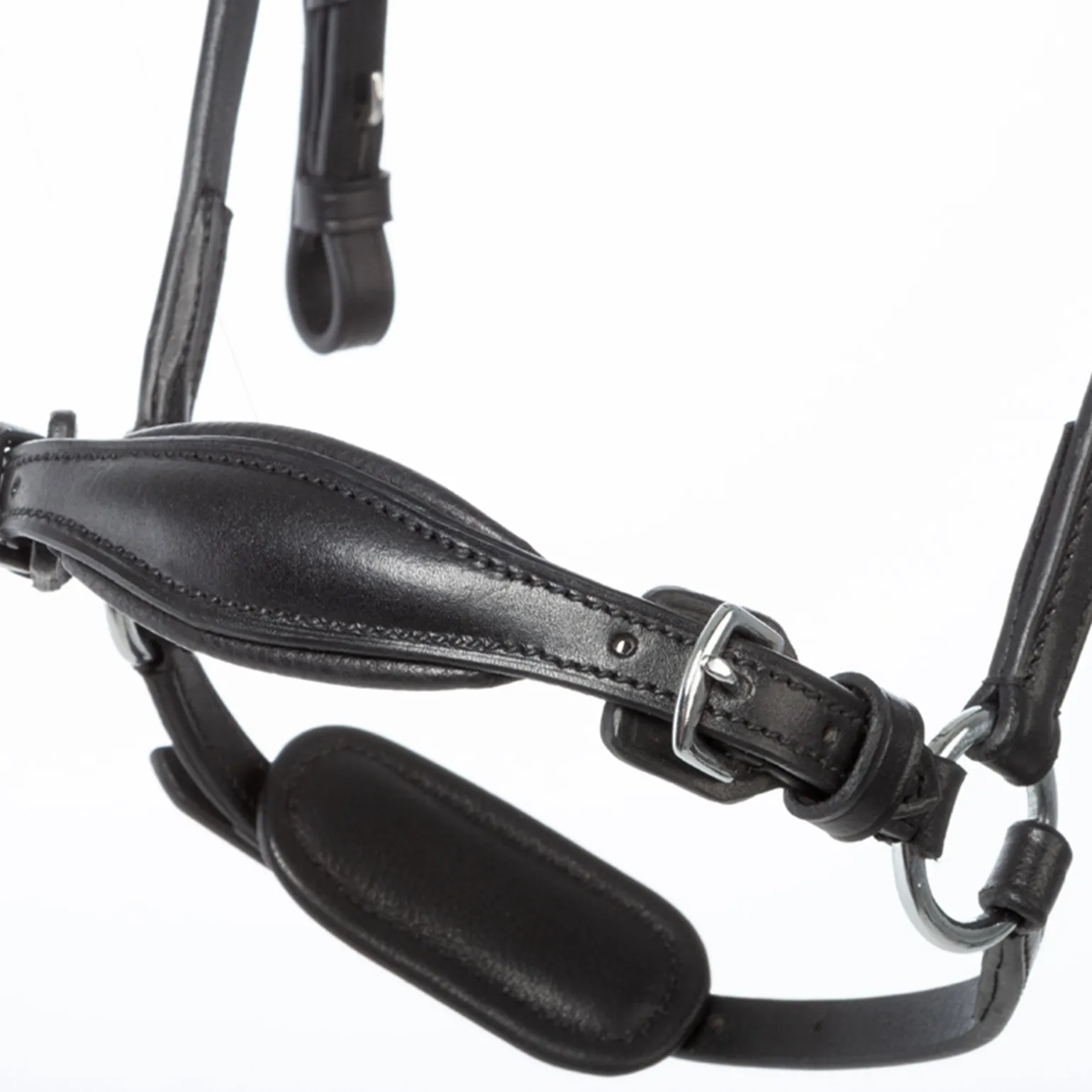 Kavalkade Fiala Bridle