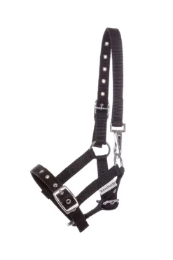 Kavalkade Foal & Yearling Halter