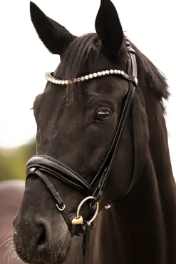 Kavalkade Fortuna Kavalsh4 Bridle