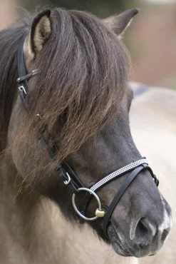 Kavalkade Hvitur English Noseband For Aradis Icelandic Bridle