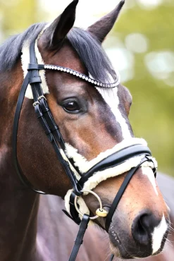 Kavalkade Joyce Kavalsh4 Bridle