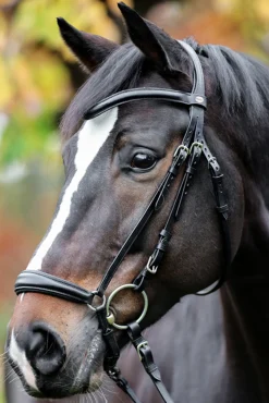 Kavalkade Proline Anna Bridle Dropped Noseband