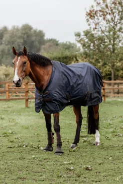 Kentucky Horsewear All Weather Ulkoloimi, 300 G