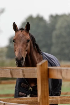 Kentucky Horsewear All Weather Ulkoloimi, 300 G