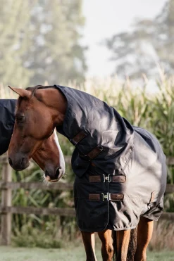 Kentucky Horsewear All Weather Waterproof Classic Ulkoloimi, 0 G