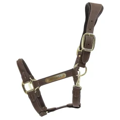 Kentucky Horsewear Anatominen Mokkanahkariimu