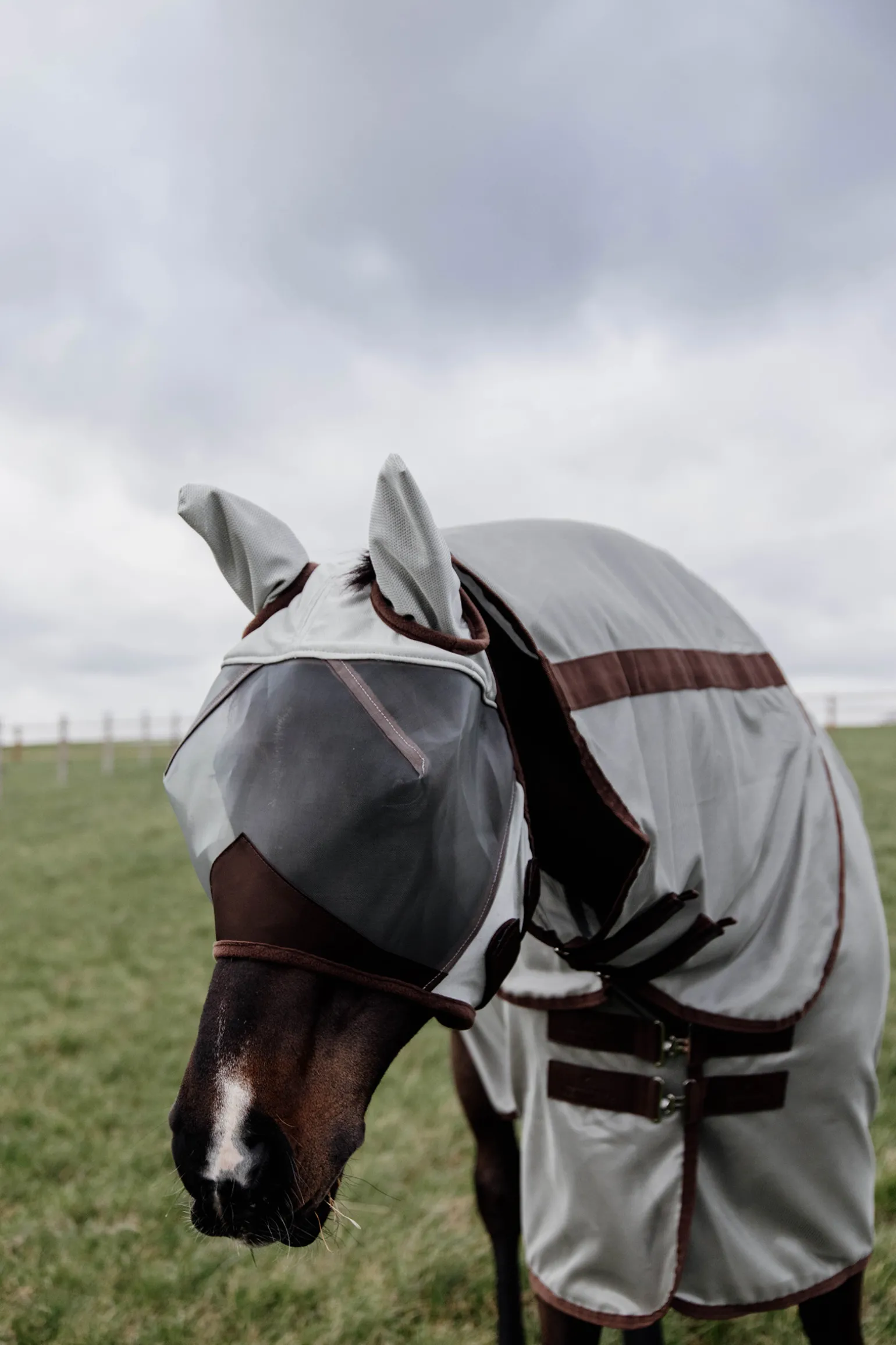Kentucky Horsewear Classic Karpasmaski Korvilla