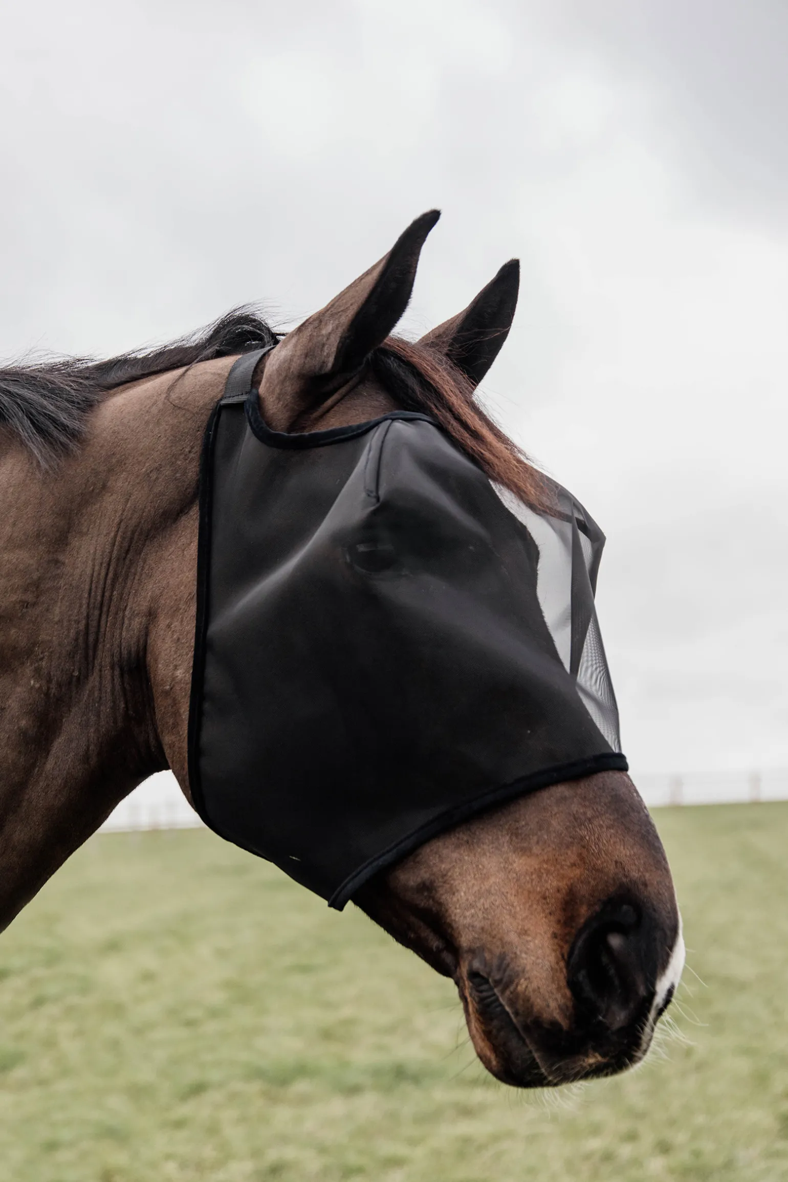 Kentucky Horsewear Classic Karpasmaski Ilman Korvia