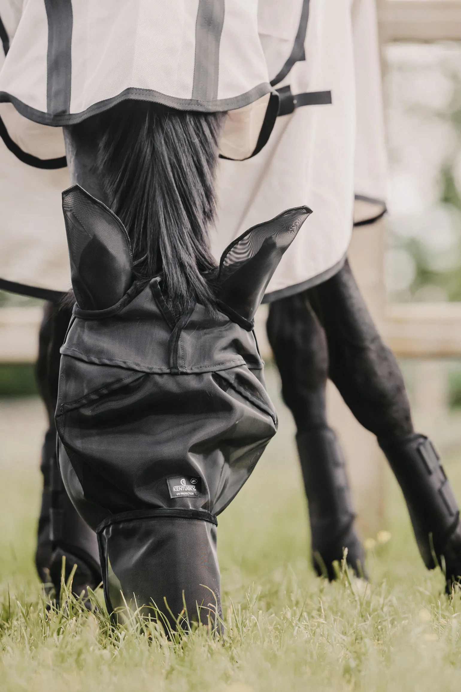 Kentucky Horsewear Classic Karpasmaski Korvilla Ja Turpasuojalla