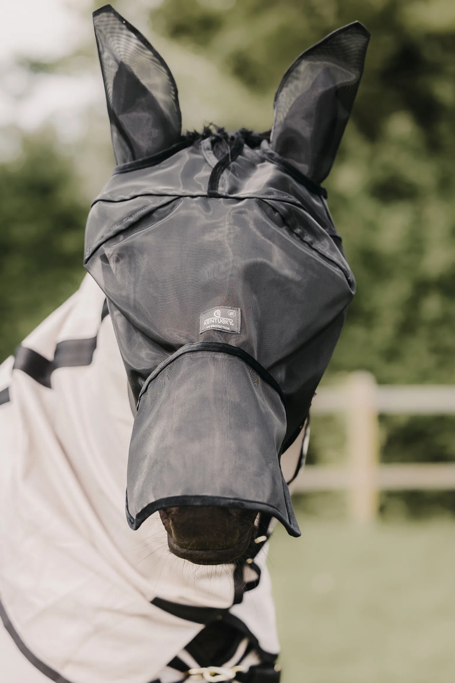 Kentucky Horsewear Classic Karpasmaski Korvilla Ja Turpasuojalla
