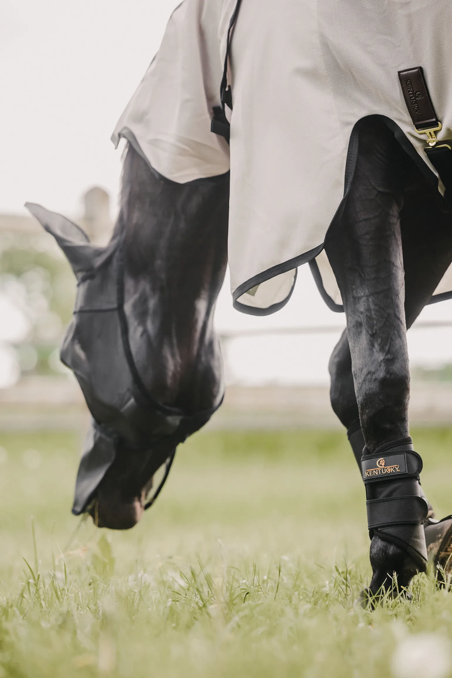 Kentucky Horsewear Classic Karpasmaski Korvilla Ja Turpasuojalla