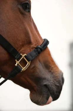 Kentucky Horsewear Control Riimu