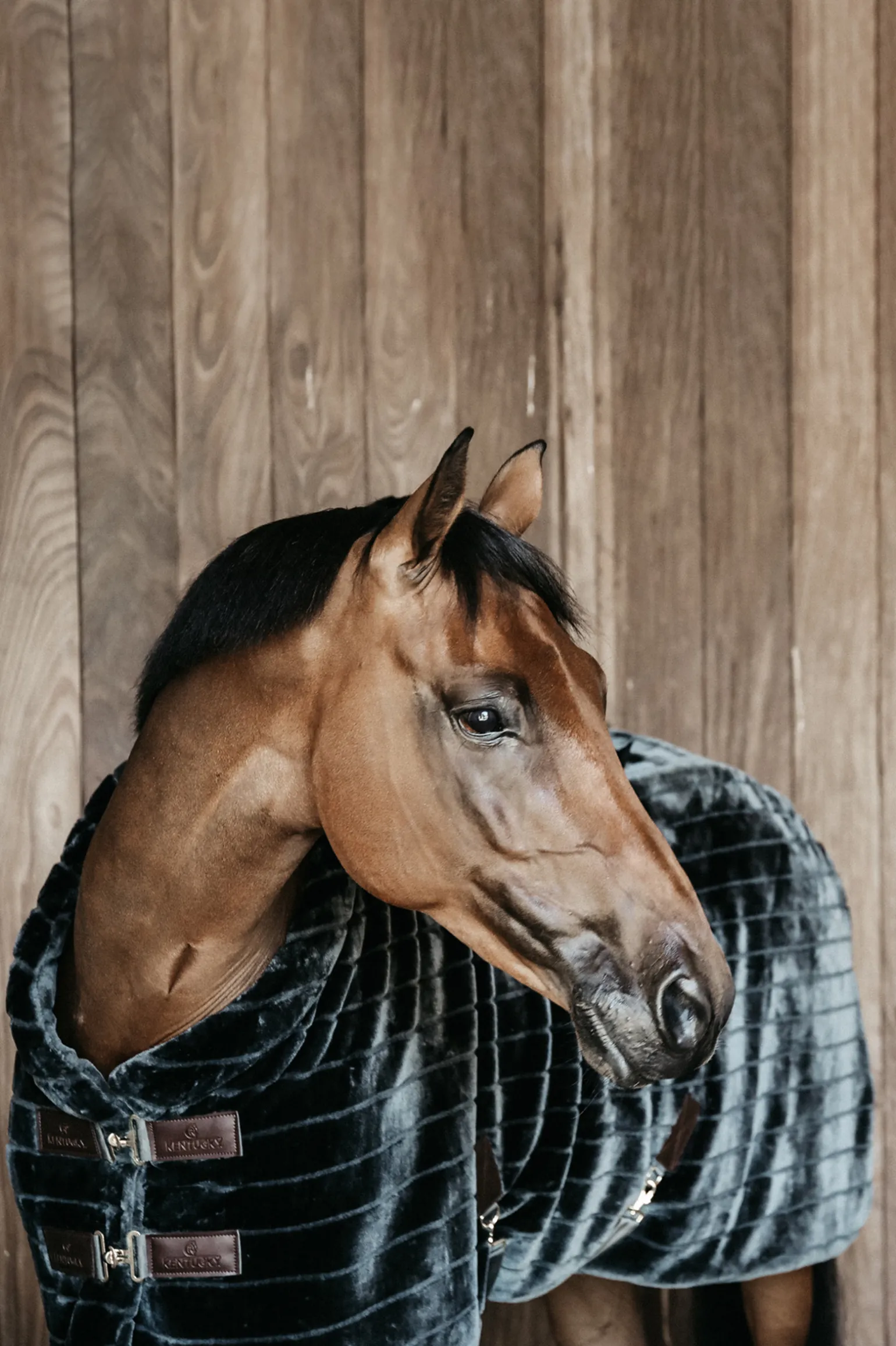Kentucky Horsewear Fake Fur Talliloimi