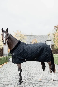 Kentucky Horsewear Kilpailuloimi, 160 G