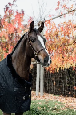 Kentucky Horsewear Kilpailuloimi, 160 G