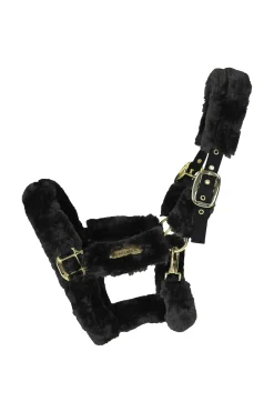 Kentucky Horsewear Lampaankarvariimu