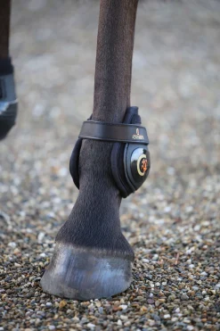 Kentucky Horsewear Moonboots, Takajalan Suojat