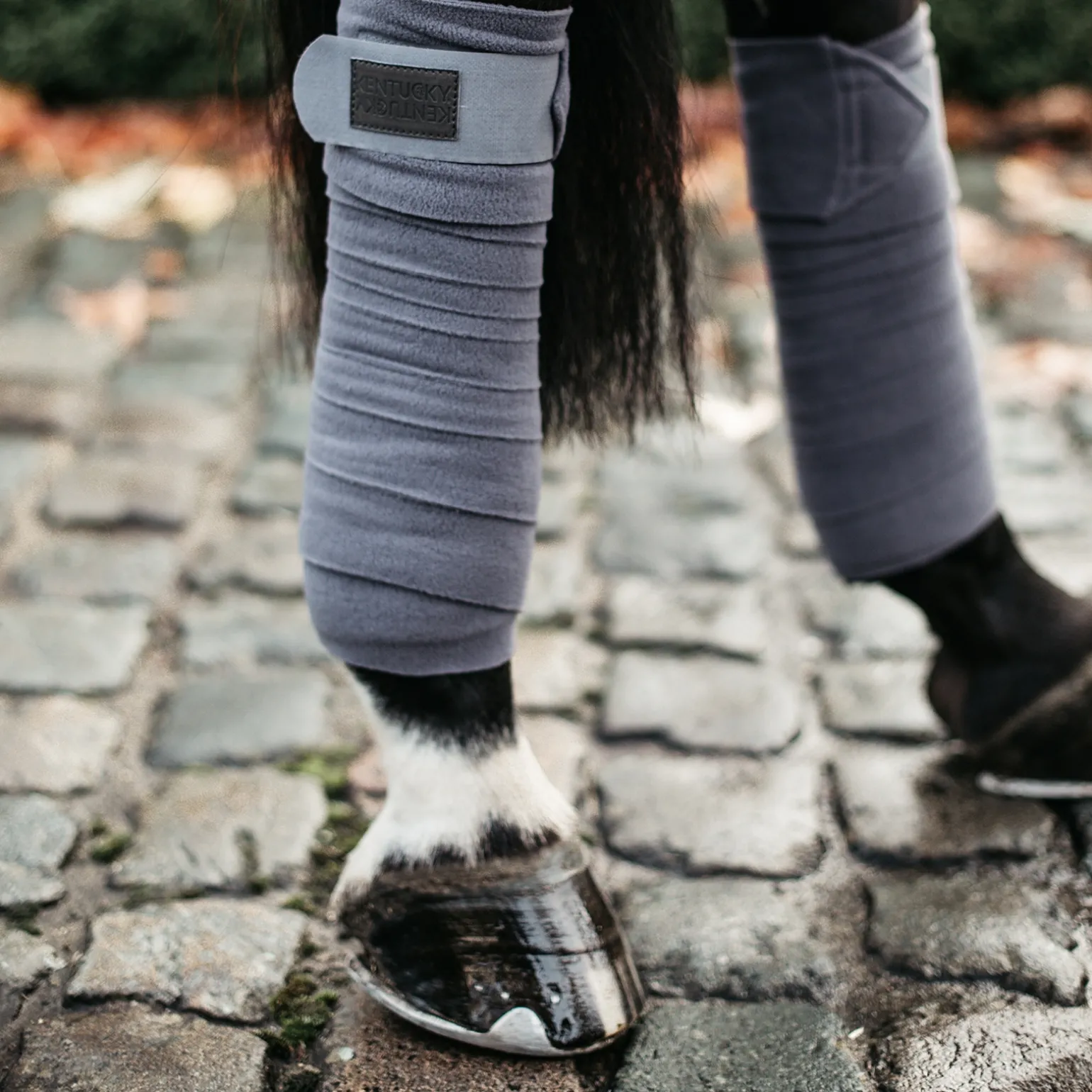 Kentucky Horsewear Polar Fleece Pintelit (Pakkauksessa 4 Kpl)