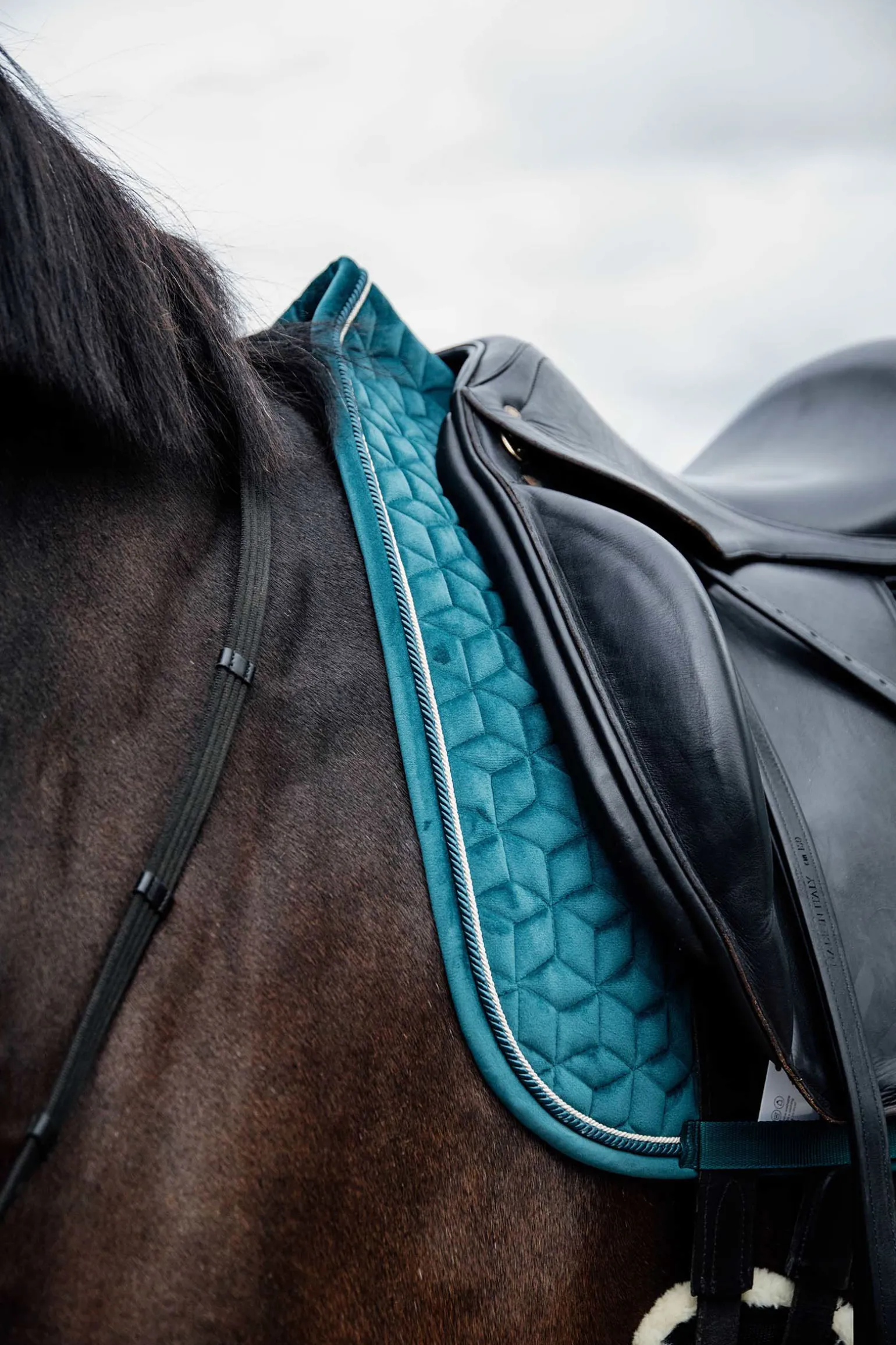 Kentucky Horsewear Saddle Pad Velvet Dressage -Kouluratsastussatulahuopa