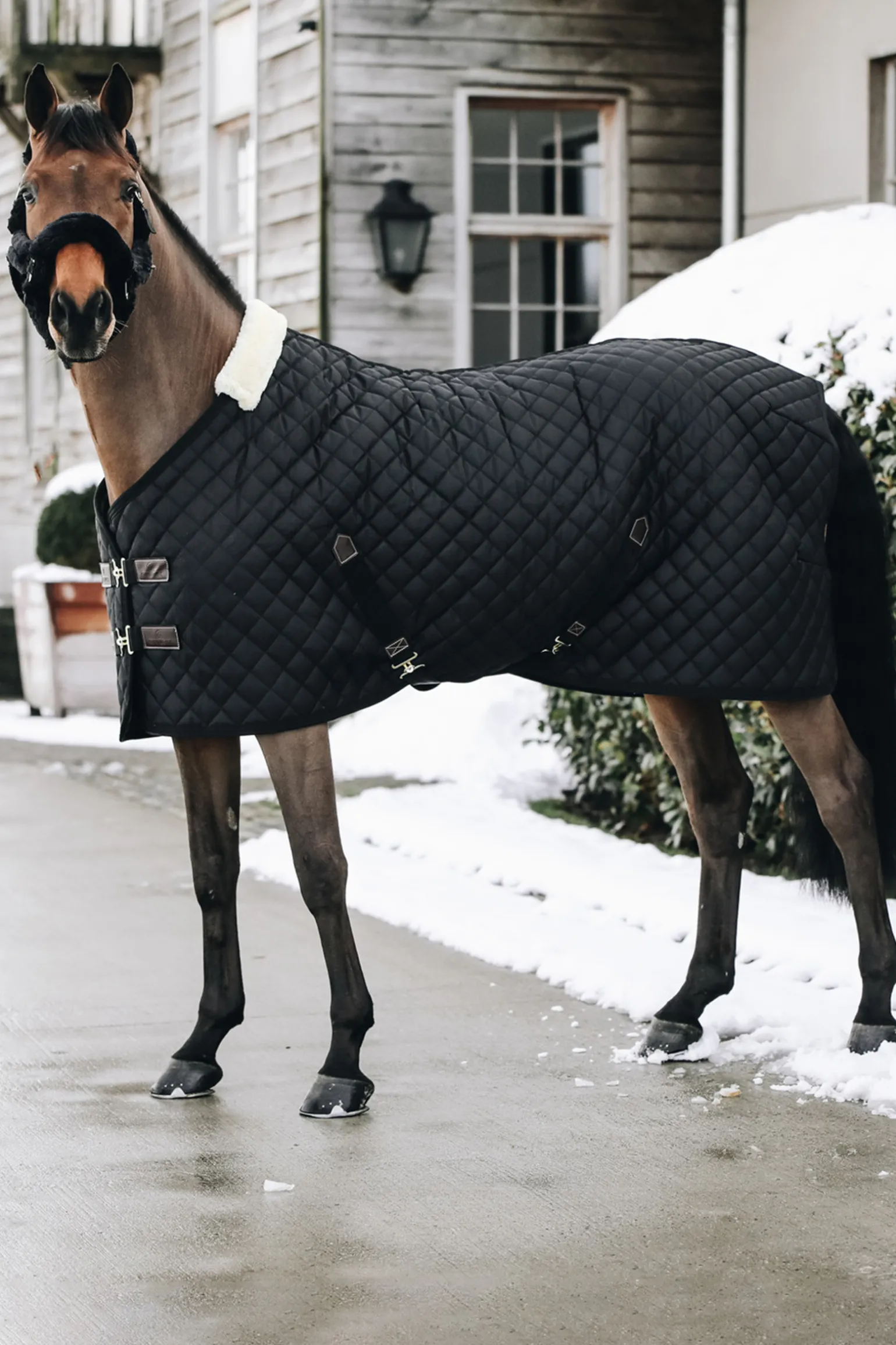 Kentucky Horsewear Talliloimi, 400 G