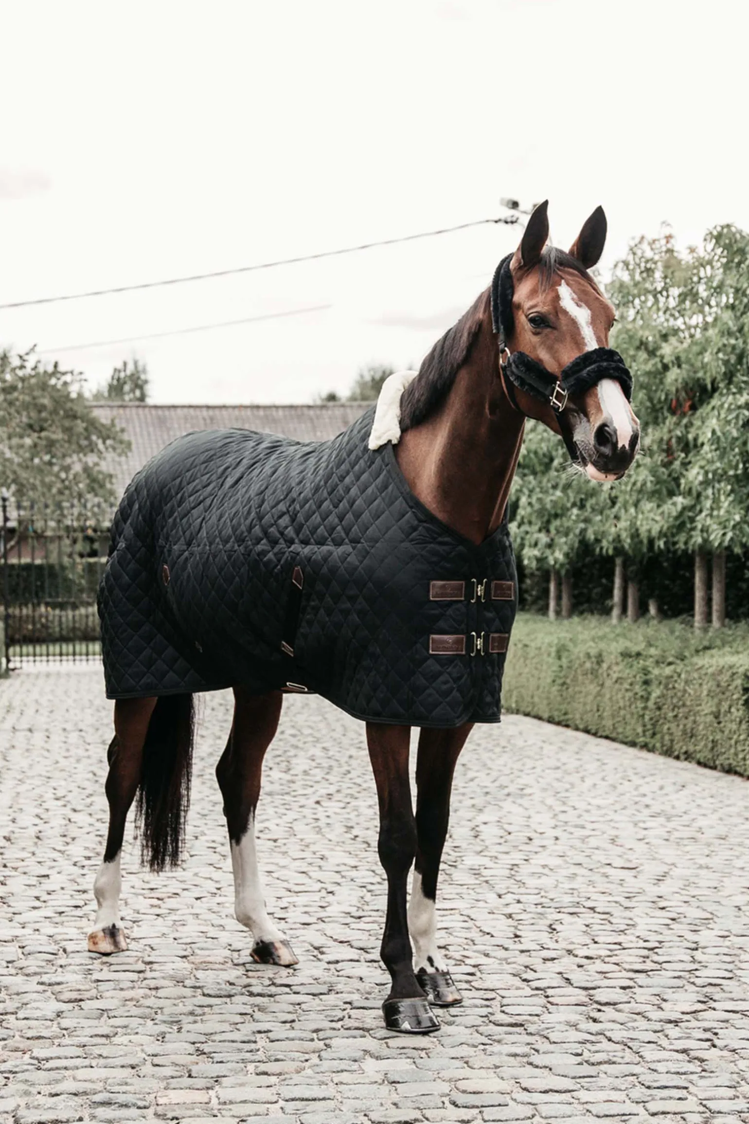 Kentucky Horsewear Talliloimi, 400 G