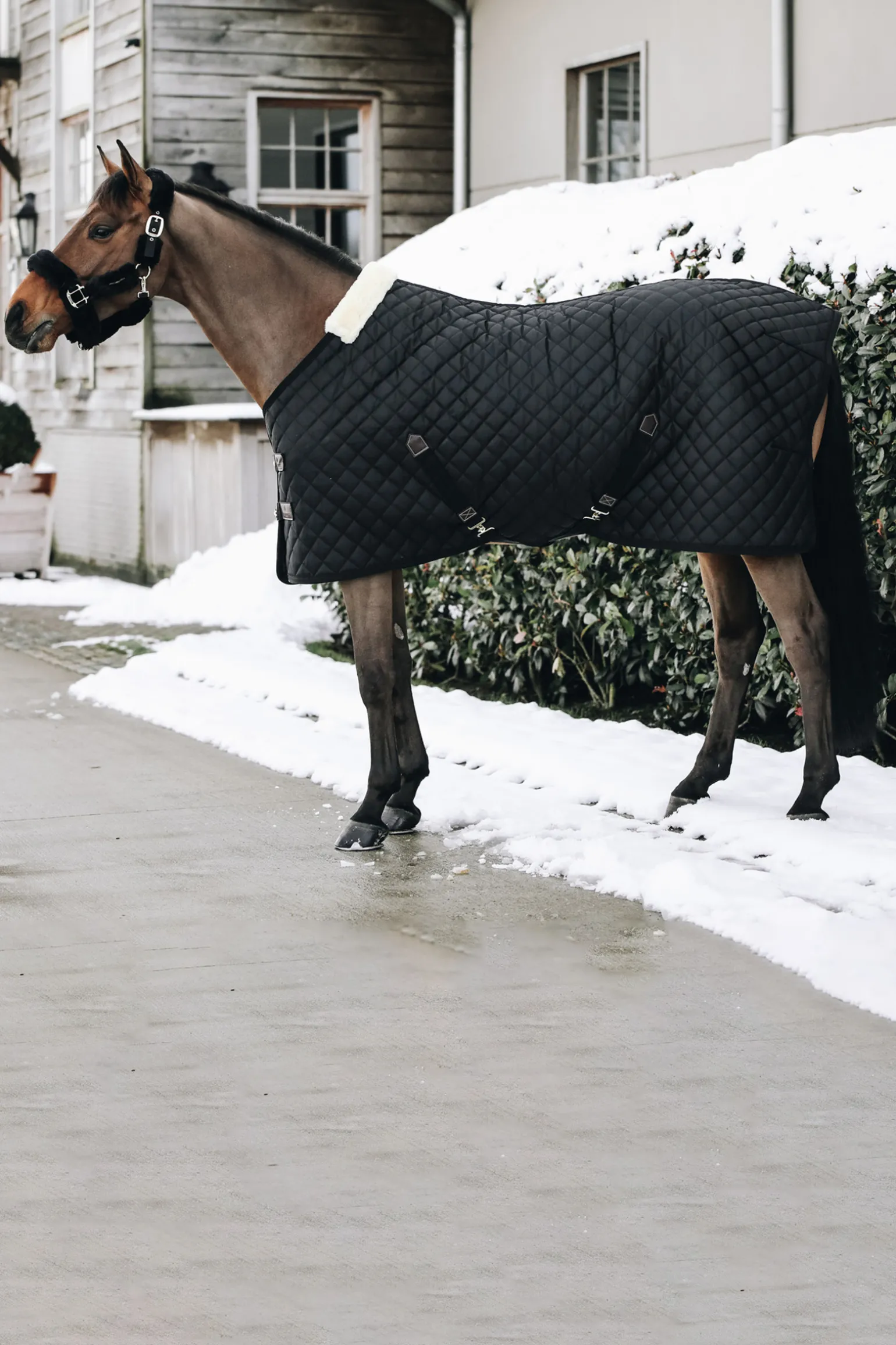 Kentucky Horsewear Talliloimi, 400 G